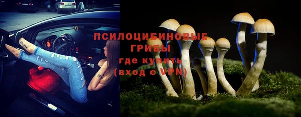apvp Нефтегорск