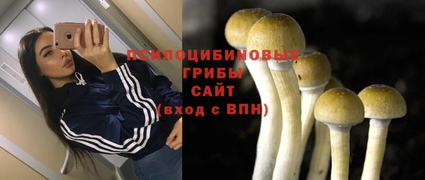 apvp Нефтегорск