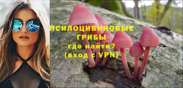ПСИЛОЦИБИНОВЫЕ ГРИБЫ Нефтекумск