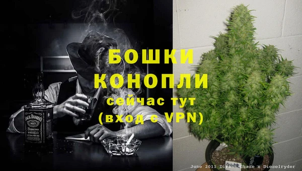 ПСИЛОЦИБИНОВЫЕ ГРИБЫ Нефтекумск